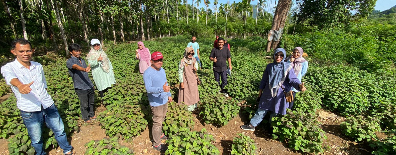 Kegiatan Pengabdian Kepada Masyarakat ielh Himpunan Alumni Mahasiswa PS DIP USK bersamaan dengan Kunjungan tim Ahli ARC ke Sentra industri Nilam BSI di Desa Bumong Seuribe