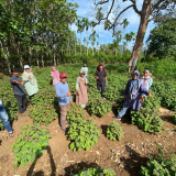 Kegiatan Pengabdian Kepada Masyarakat ielh Himpunan Alumni Mahasiswa PS DIP USK bersamaan dengan Kunjungan tim Ahli ARC ke Sentra industri Nilam BSI di Desa Bumong Seuribe